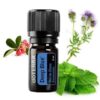 Oleo Essencial Deep Blue Doterra 5ml